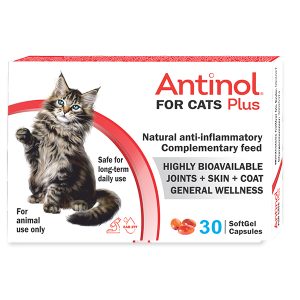 Antinol Plus pentru PISICI - Supliment Antiinflamator pentru articulatii