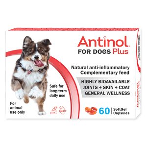 Antinol Plus pentru Caini